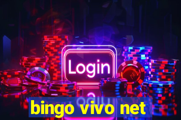 bingo vivo net