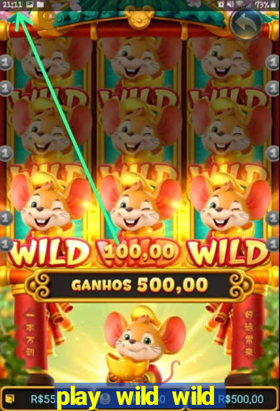 play wild wild riches slot