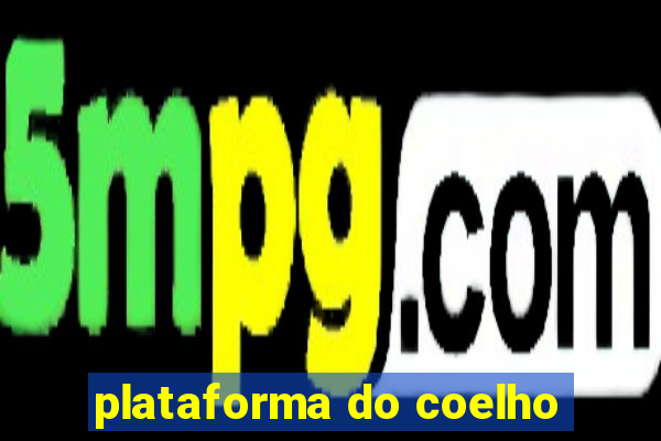 plataforma do coelho