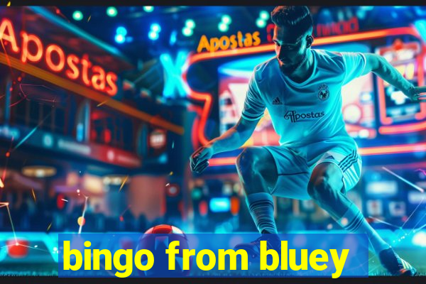 bingo from bluey