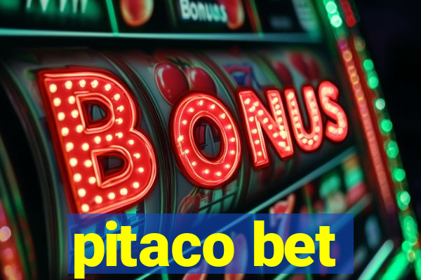 pitaco bet