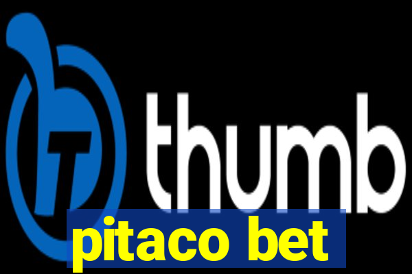 pitaco bet