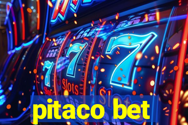 pitaco bet