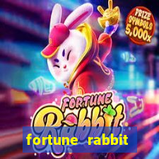 fortune rabbit conta demo Informational