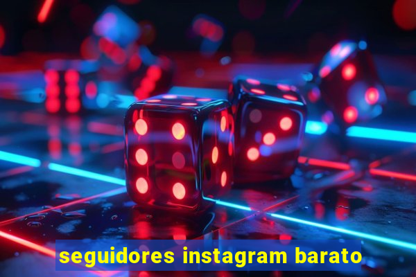 seguidores instagram barato