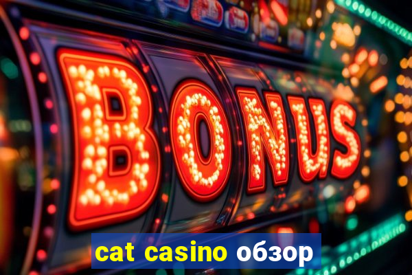 cat casino обзор