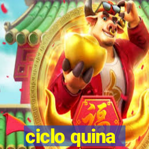 ciclo quina