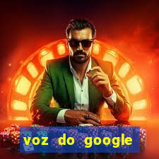 voz do google tradutor homem