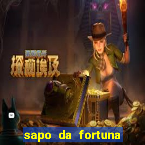 sapo da fortuna feng shui