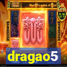 dragao5