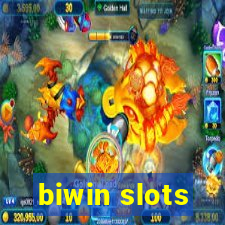 biwin slots