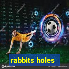 rabbits holes