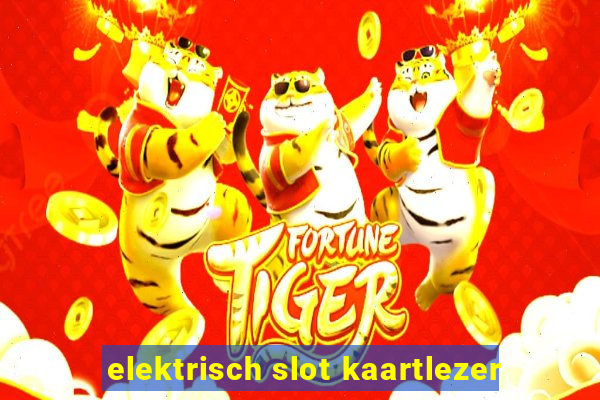 elektrisch slot kaartlezer