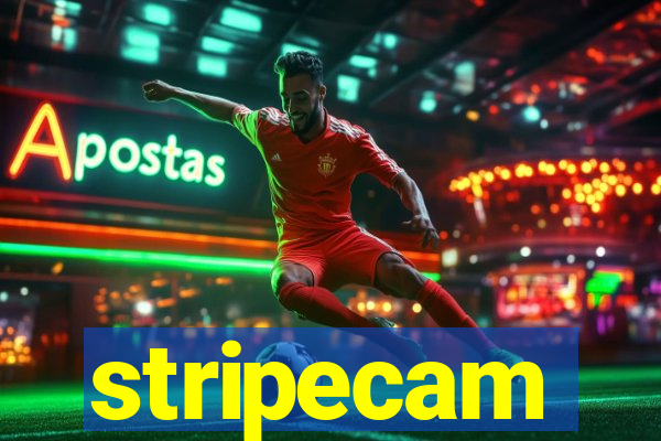 stripecam