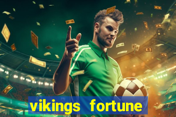 vikings fortune hold and win slot