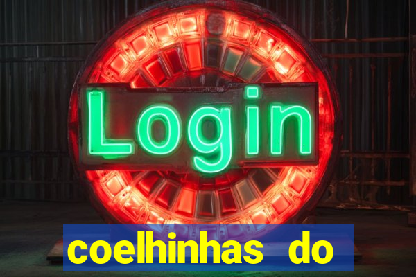 coelhinhas do brasil acompanhantes