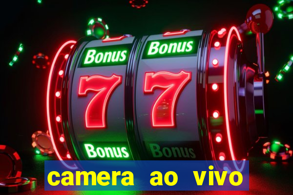 camera ao vivo terminal vila nova cachoeirinha