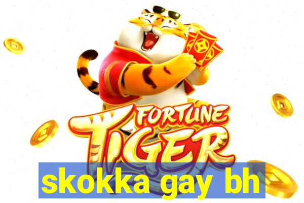 skokka gay bh