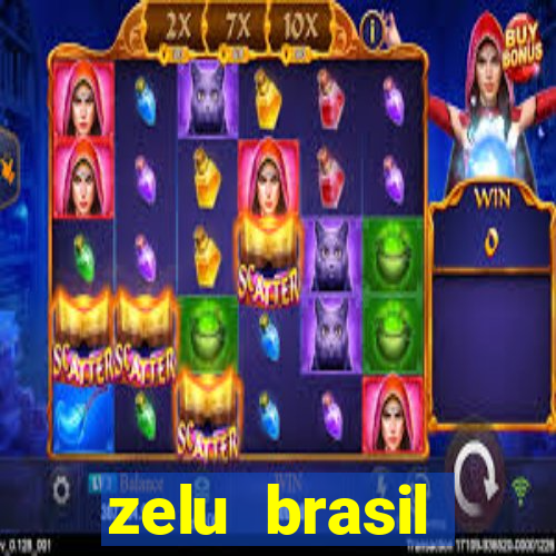 zelu brasil facilitadora de pagamentos ltda jogos