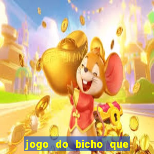 jogo do bicho que da dinheiro