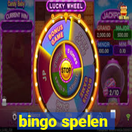 bingo spelen