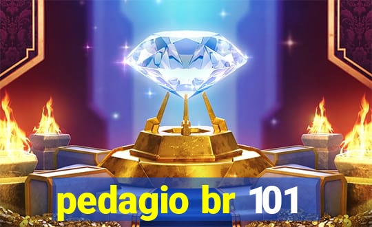 pedagio br 101