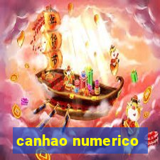 canhao numerico