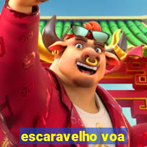 escaravelho voa