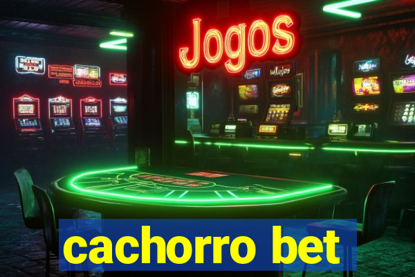 cachorro bet