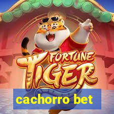 cachorro bet