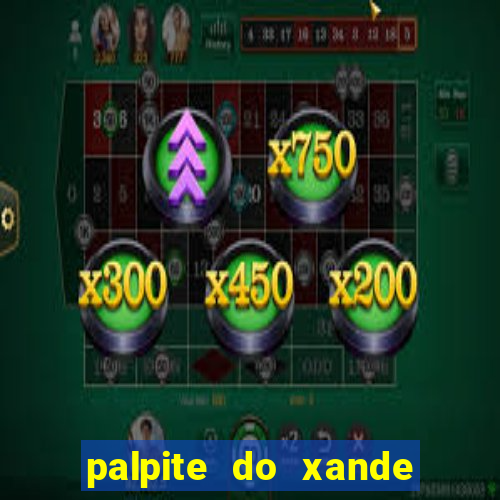 palpite do xande para hoje