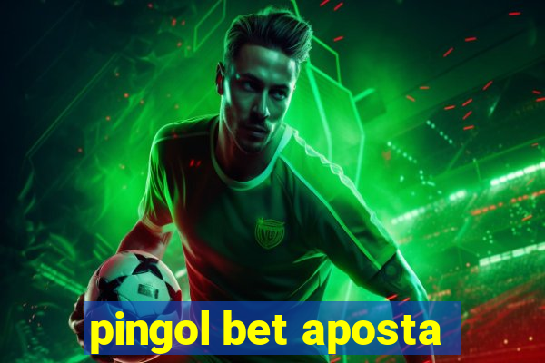 pingol bet aposta