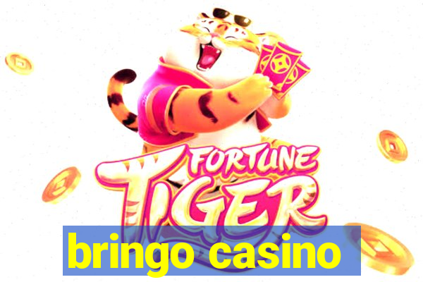 bringo casino