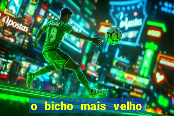 o bicho mais velho da loteria dos sonhos