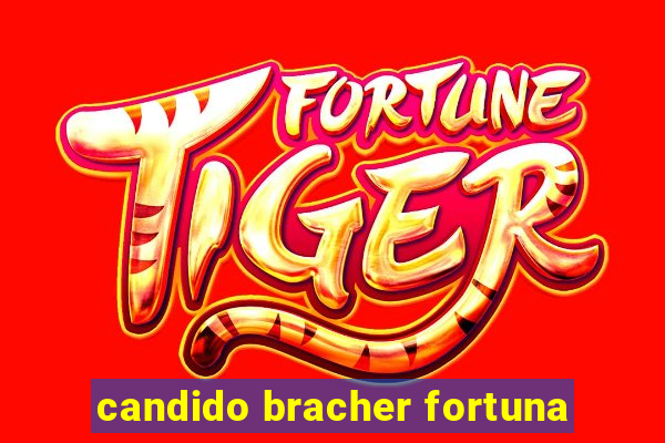 candido bracher fortuna