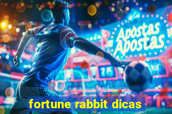 fortune rabbit dicas