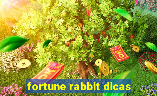 fortune rabbit dicas