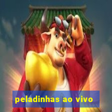 peladinhas ao vivo