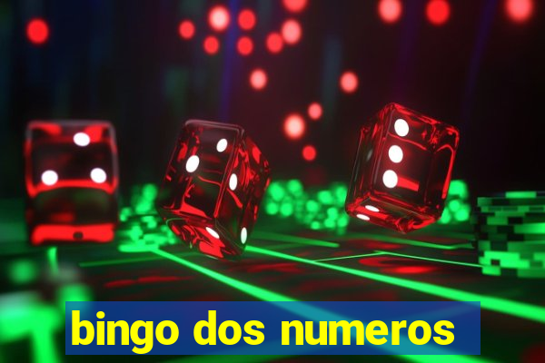 bingo dos numeros