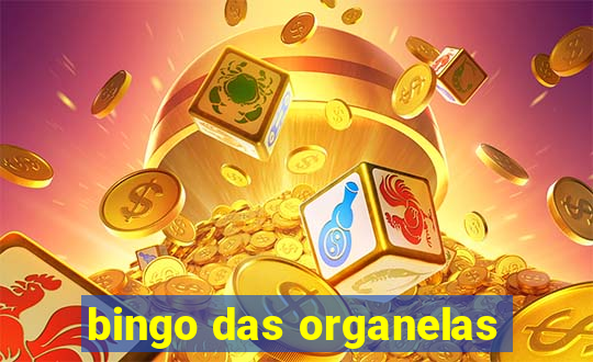 bingo das organelas