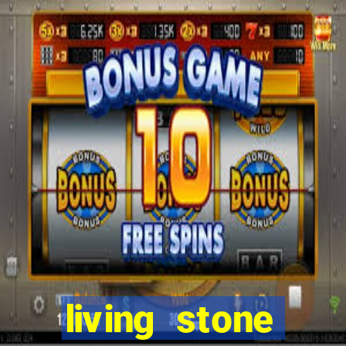 living stone network tv