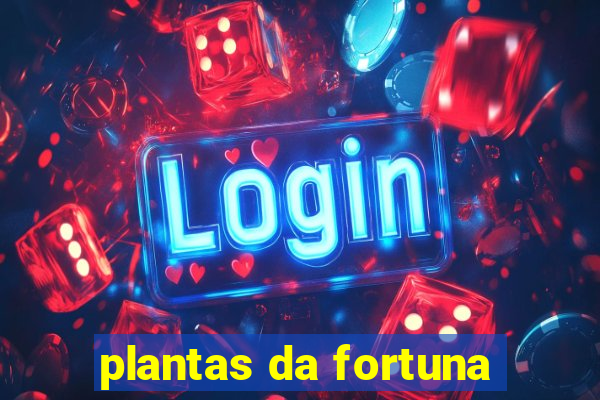 plantas da fortuna