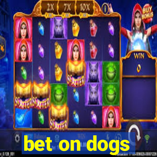 bet on dogs