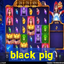 black pig