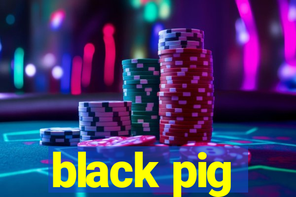 black pig