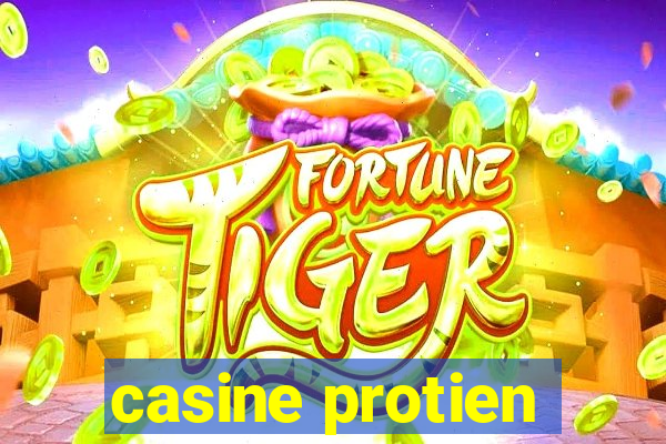 casine protien