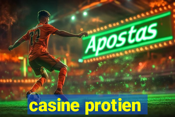 casine protien