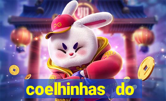 coelhinhas do brasil recife