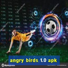 angry birds 1.0 apk