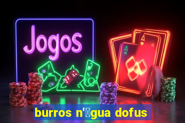 burros n'谩gua dofus